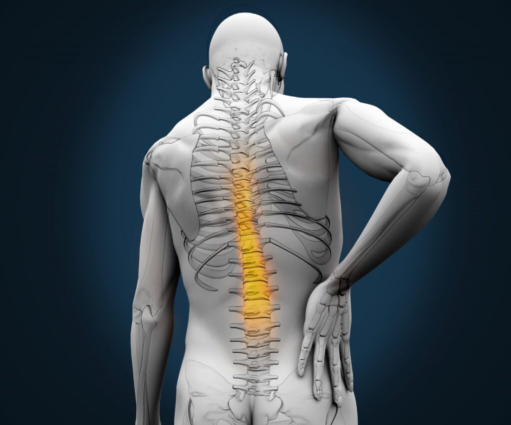Maintenance and Prevention back pain