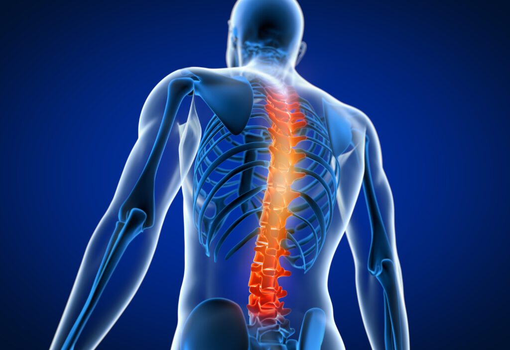 Physical Therapy's Role in Managing Back Pain
