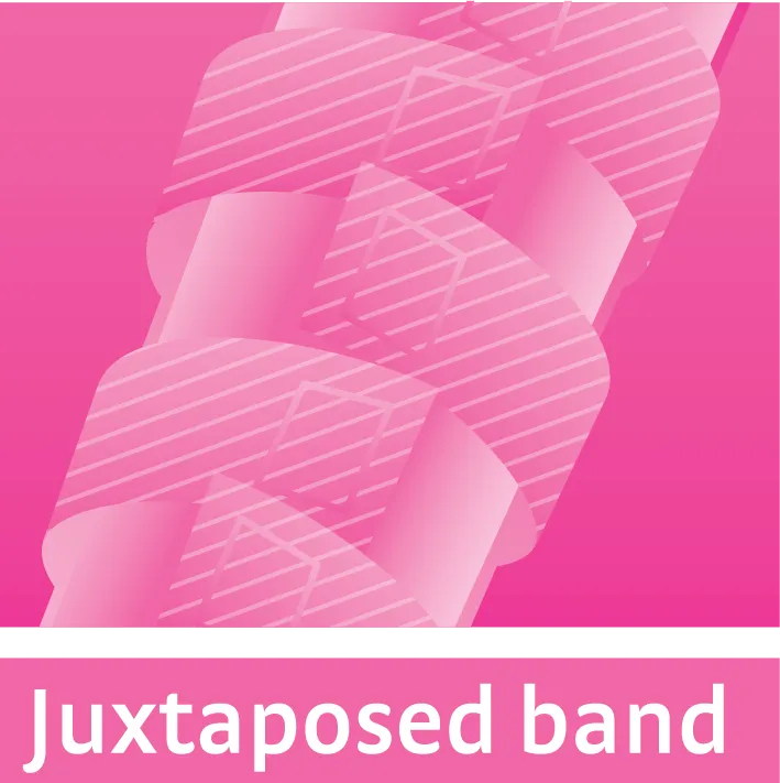 Juxtaposed Band System technology